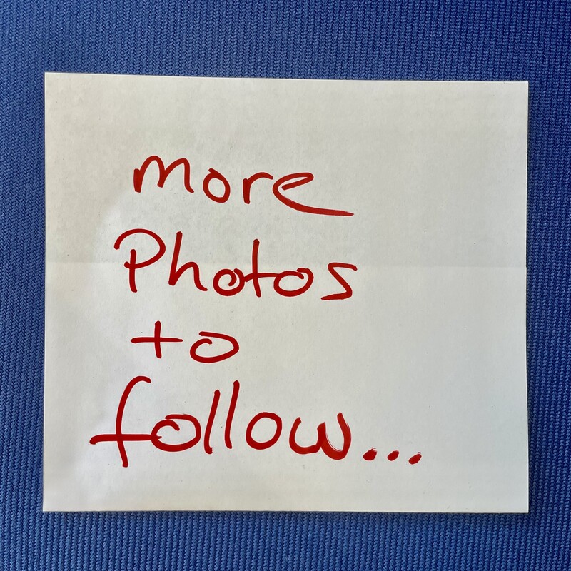 1960s Brass Palm Tree Lamp, France