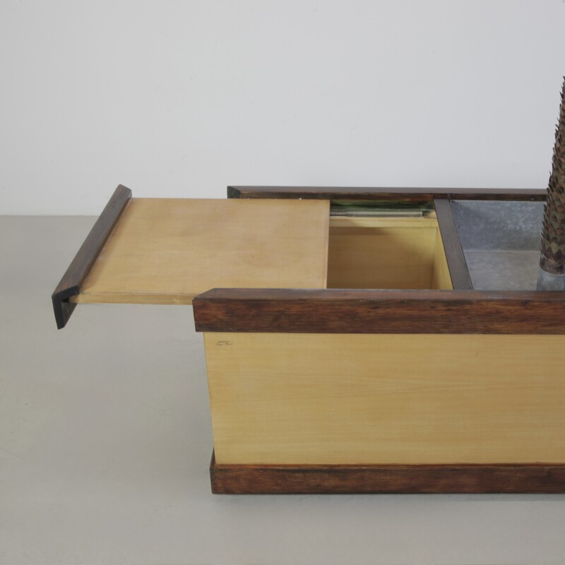 1960s Brass Palm Tree Lamp by Sergio BUZZI, Italy