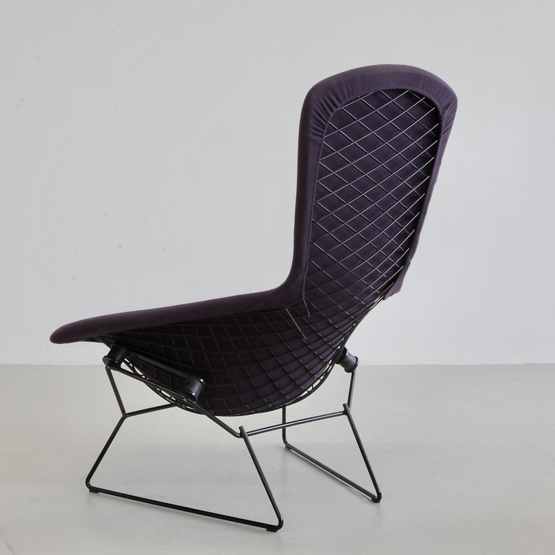 Bird Sessel designed by Harry Bertoia für Knoll, 1960er