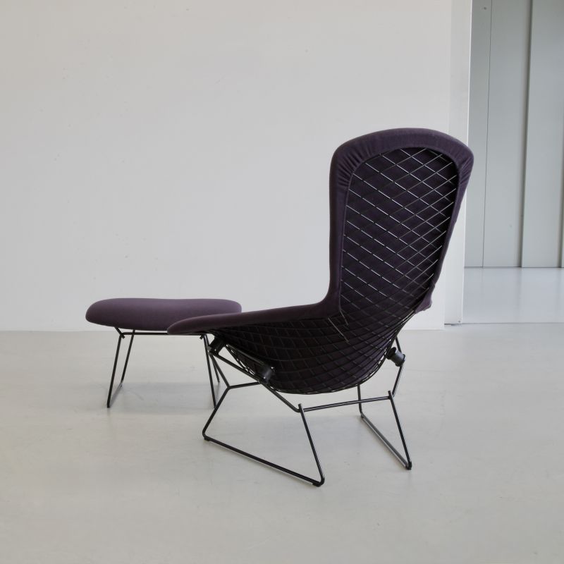 Bird Sessel designed by Harry Bertoia für Knoll, 1960er