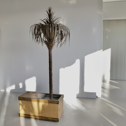 1960s Brass Palm Tree Lamp, France