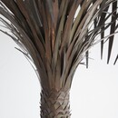 1960s Brass Palm Tree Lamp, France