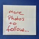 1960s Brass Palm Tree Lamp, France