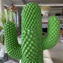 CACTUS Sculpture and Coathanger by Guido DROCCO an Franco MELLO, Italy