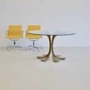 Dining Table by Luciano FRIGERIO, 1960s