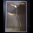 Floor Lamp by Carlo GIORGI for Bottega Gadda,  Milano 1970s
