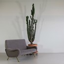 Two Seat Sofa by Marco ZANUSO for ARFLEX